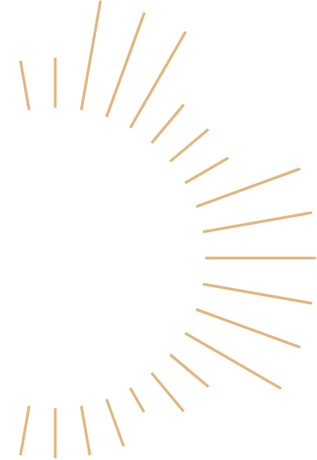 logo_rays